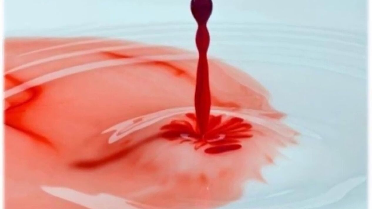 bloody discharge from the penis