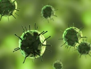 Bacteria causing diseases in which the mucous membranes appear