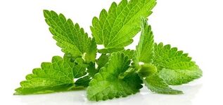 use of mint to increase efficiency