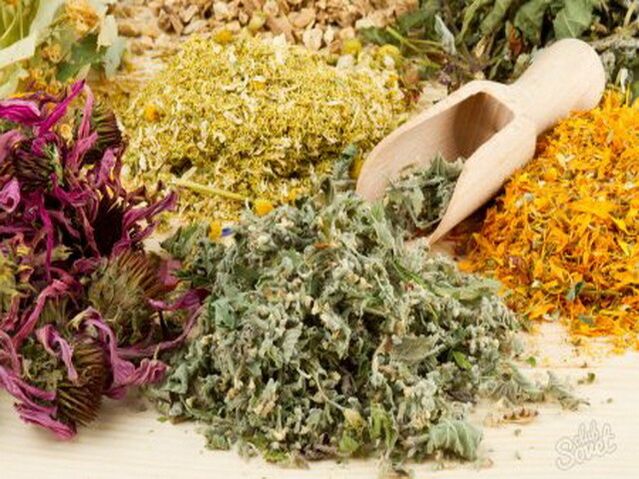 herbs to increase efficiency