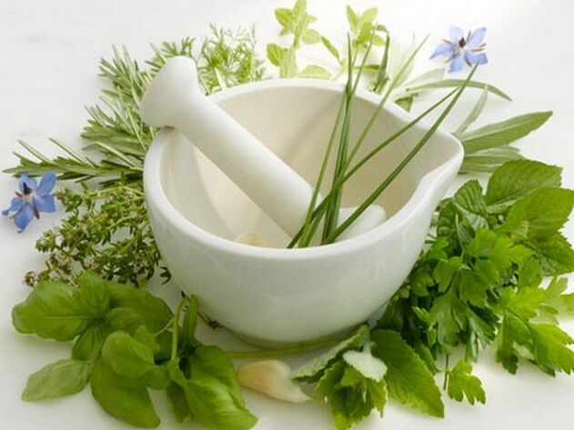 useful herbs to increase efficiency