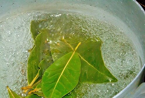 Bay leaf decoction for a relaxing bath in case of potency problems