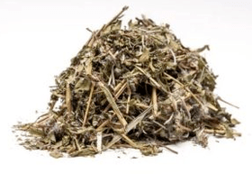 Ivan tea for efficiency